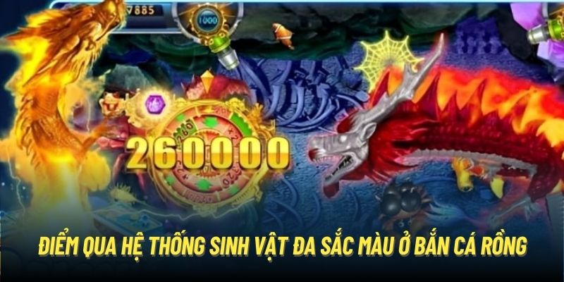 Điểm qua hệ thống sinh vật đa sắc màu ở Bắn cá rồng