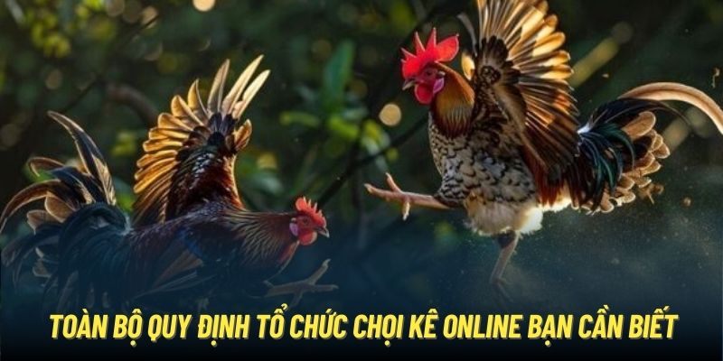 Toàn bộ quy định tổ chức chọi kê online bạn cần biết