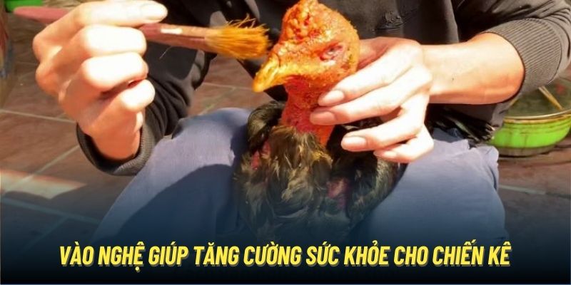 Vào nghệ giúp tăng cường sức khỏe cho chiến kê