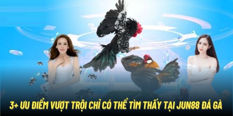 3+ ưu điểm vượt trội chỉ có thể tìm thấy tại Jun88 đá gà