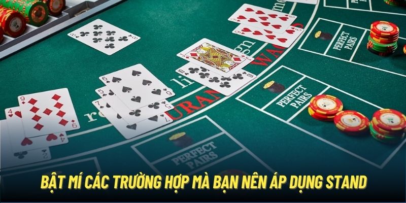 Bật mí các trường hợp mà bạn nên áp dụng stand