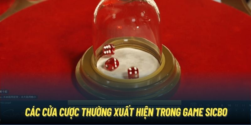 Các cửa cược thường xuất hiện trong game Sicbo