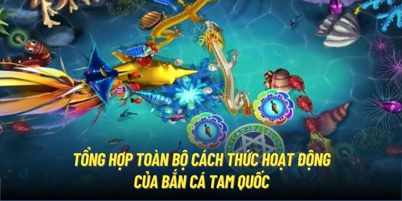 Tổng hợp toàn bộ cách thức hoạt động của Bắn cá Tam Quốc